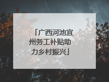 广西河池宜州务工补贴助力乡村振兴