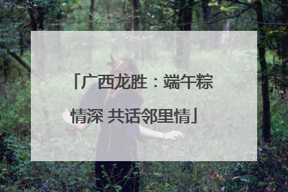 广西龙胜：端午粽情深 共话邻里情