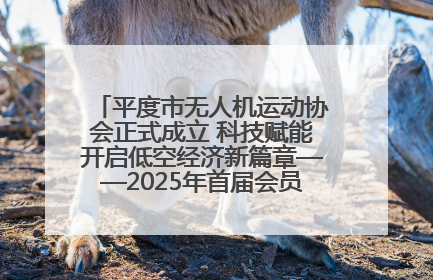 平度市无人机运动协会正式成立 科技赋能开启低空经济新篇章——2025年首届会员大会暨无人机应用发展论坛成功举办
