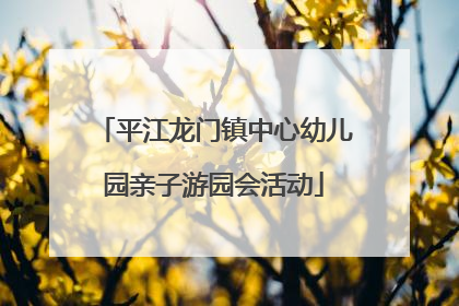 平江龙门镇中心幼儿园亲子游园会活动