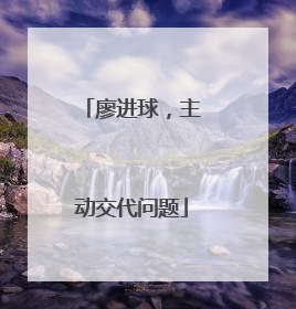 廖进球，主动交代问题