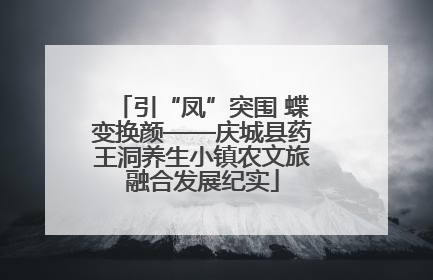 引“凤”突围 蝶变换颜——庆城县药王洞养生小镇农文旅融合发展纪实