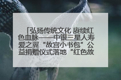 弘扬传统文化 赓续红色血脉——中银三星人寿爱之翼“故宫小书包”公益捐赠仪式落地“红色故都”江西瑞金