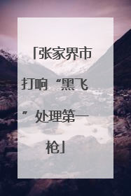 张家界市打响“黑飞”处理第一枪