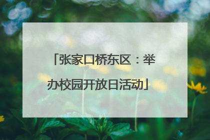 张家口桥东区：举办校园开放日活动