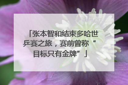 张本智和结束多哈世乒赛之旅，赛前曾称“目标只有金牌”