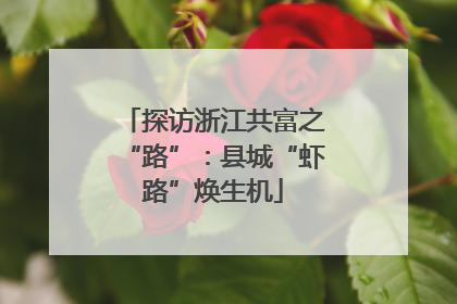探访浙江共富之“路”：县城“虾路”焕生机