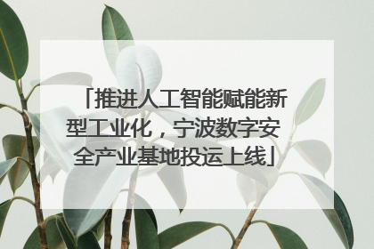 推进人工智能赋能新型工业化,宁波数字安全产业基地投运上线