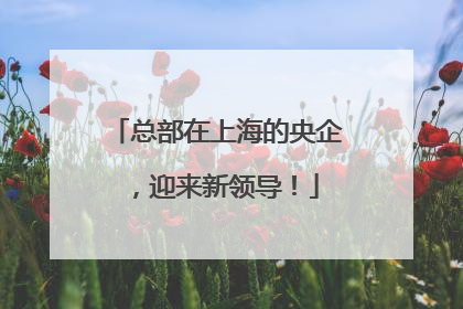 总部在上海的央企，迎来新领导！