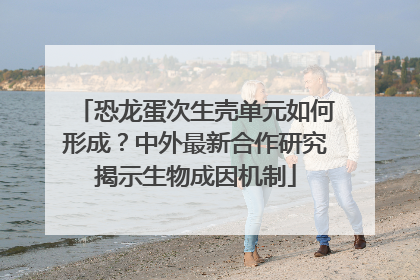 恐龙蛋次生壳单元如何形成？中外最新合作研究揭示生物成因机制