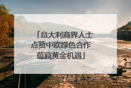 意大利商界人士点赞中欧绿色合作蕴藏黄金机遇