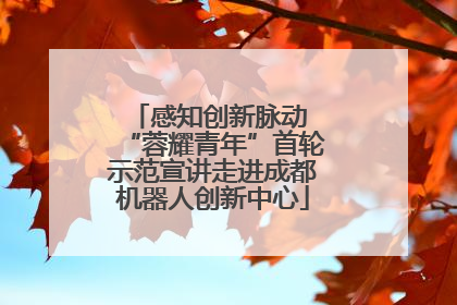 感知创新脉动 “蓉耀青年”首轮示范宣讲走进成都机器人创新中心