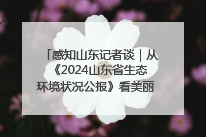 感知山东记者谈｜从《2024山东省生态环境状况公报》看美丽山东建设的“成绩单”与“任务书”