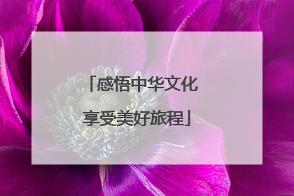 感悟中华文化 享受美好旅程