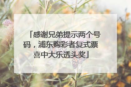 感谢兄弟提示两个号码，浦东购彩者复式票喜中大乐透头奖