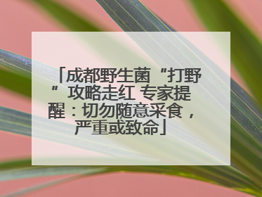 成都野生菌“打野”攻略走红 专家提醒：切勿随意采食，严重或致命