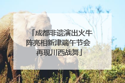成都非遗演出火牛阵亮相新津端午节会 再现川西战舞