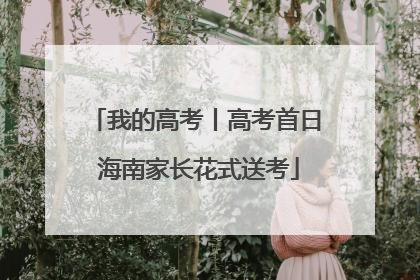 我的高考丨高考首日 海南家长花式送考