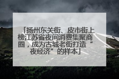 扬州东关街、皮市街上榜江苏省夜间消费集聚商圈，成为古城老街打造“夜经济”的样本