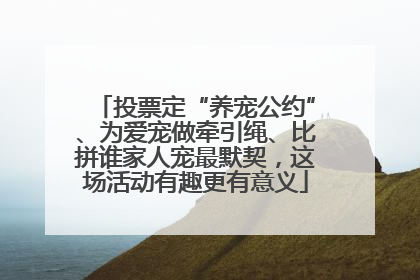 投票定“养宠公约”、为爱宠做牵引绳、比拼谁家人宠最默契，这场活动有趣更有意义