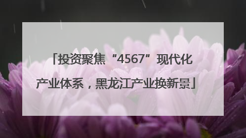 投资聚焦“4567”现代化产业体系，黑龙江产业换新景