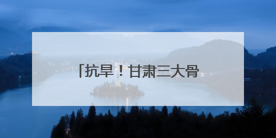 抗旱！甘肃三大骨干工程已累计调水2.45亿立方米