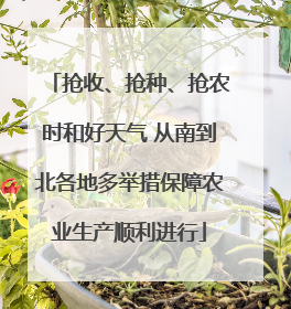 抢收、抢种、抢农时和好天气 从南到北各地多举措保障农业生产顺利进行