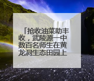 抢收油菜助丰收，武陵源一中数百名师生在黄龙洞生态田园上演“青春助农记”