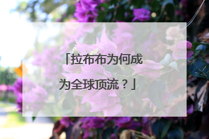 拉布布为何成为全球顶流？