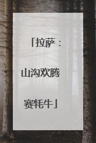 拉萨：山沟欢腾赛牦牛