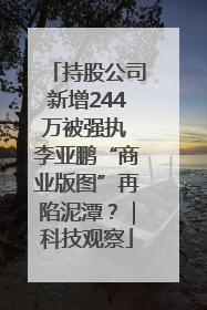 持股公司新增244万被强执 李亚鹏“商业版图”再陷泥潭？｜科技观察