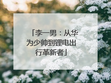 李一男：从华为少帅到锂电出行革新者