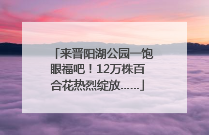 来晋阳湖公园一饱眼福吧！12万株百合花热烈绽放……