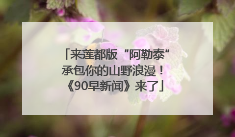 来莲都版“阿勒泰” 承包你的山野浪漫！《90早新闻》来了