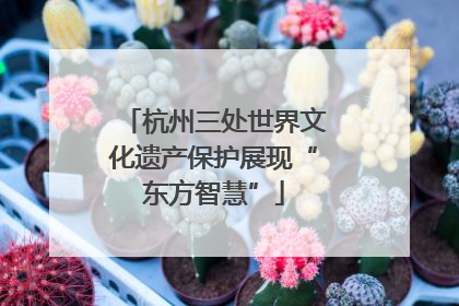 杭州三处世界文化遗产保护展现“东方智慧”