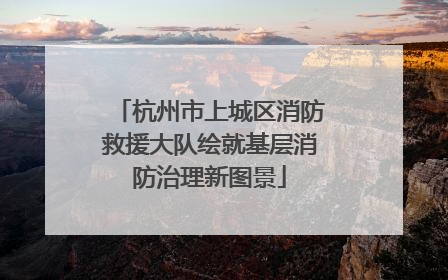 杭州市上城区消防救援大队绘就基层消防治理新图景