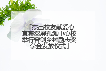 杰出校友献爱心 宜宾翠屏孔滩中心校举行曾剑乡村励志奖学金发放仪式