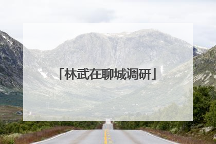 林武在聊城调研