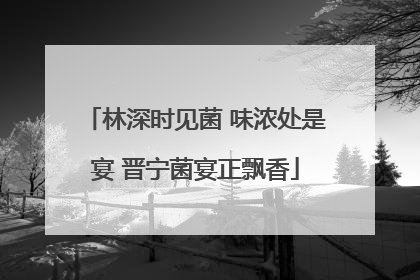 林深时见菌 味浓处是宴 晋宁菌宴正飘香