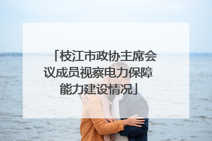 枝江市政协主席会议成员视察电力保障能力建设情况
