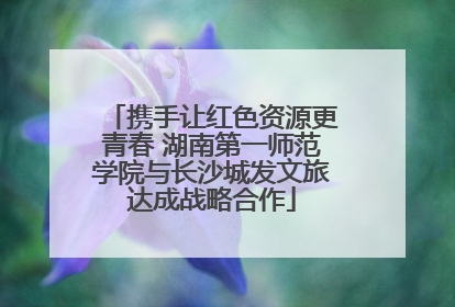 携手让红色资源更青春 湖南第一师范学院与长沙城发文旅达成战略合作