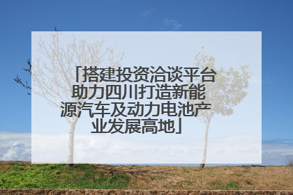 搭建投资洽谈平台 助力四川打造新能源汽车及动力电池产业发展高地