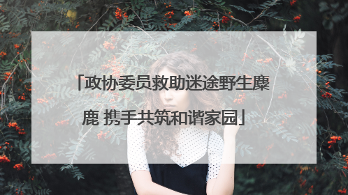 政协委员救助迷途野生麋鹿 携手共筑和谐家园