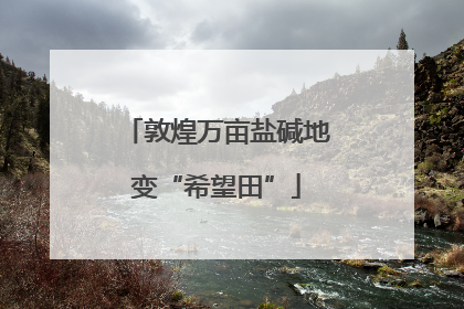 敦煌万亩盐碱地变“希望田”
