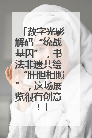 数字光影解码“统战基因”，书法非遗共绘“肝胆相照”，这场展览很有创意！
