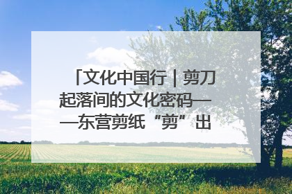 文化中国行｜剪刀起落间的文化密码——东营剪纸“剪”出非遗传承与现代生活的融合之道