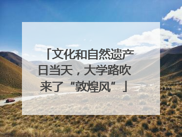 文化和自然遗产日当天，大学路吹来了“敦煌风”