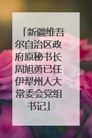新疆维吾尔自治区政府原秘书长周旭勇已任伊犁州人大常委会党组书记