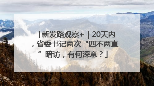 新发路观察+｜20天内，省委书记两次“四不两直”暗访，有何深意？