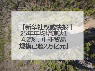 新华社权威快报丨25年年均增速达14.2%，中非贸易规模已超2万亿元